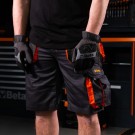 Bermuda short thumbnail